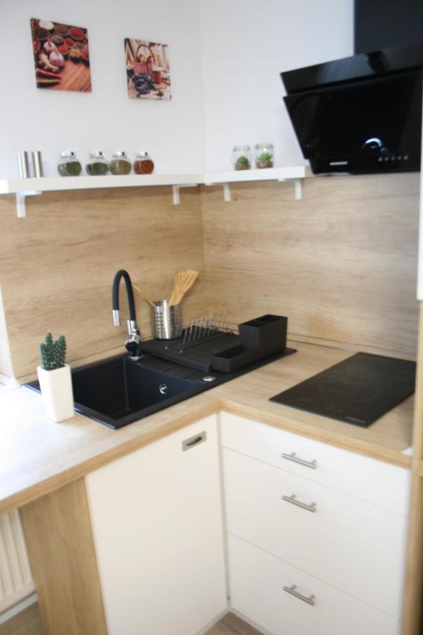 Apartment Bianca Braşov Dış mekan fotoğraf