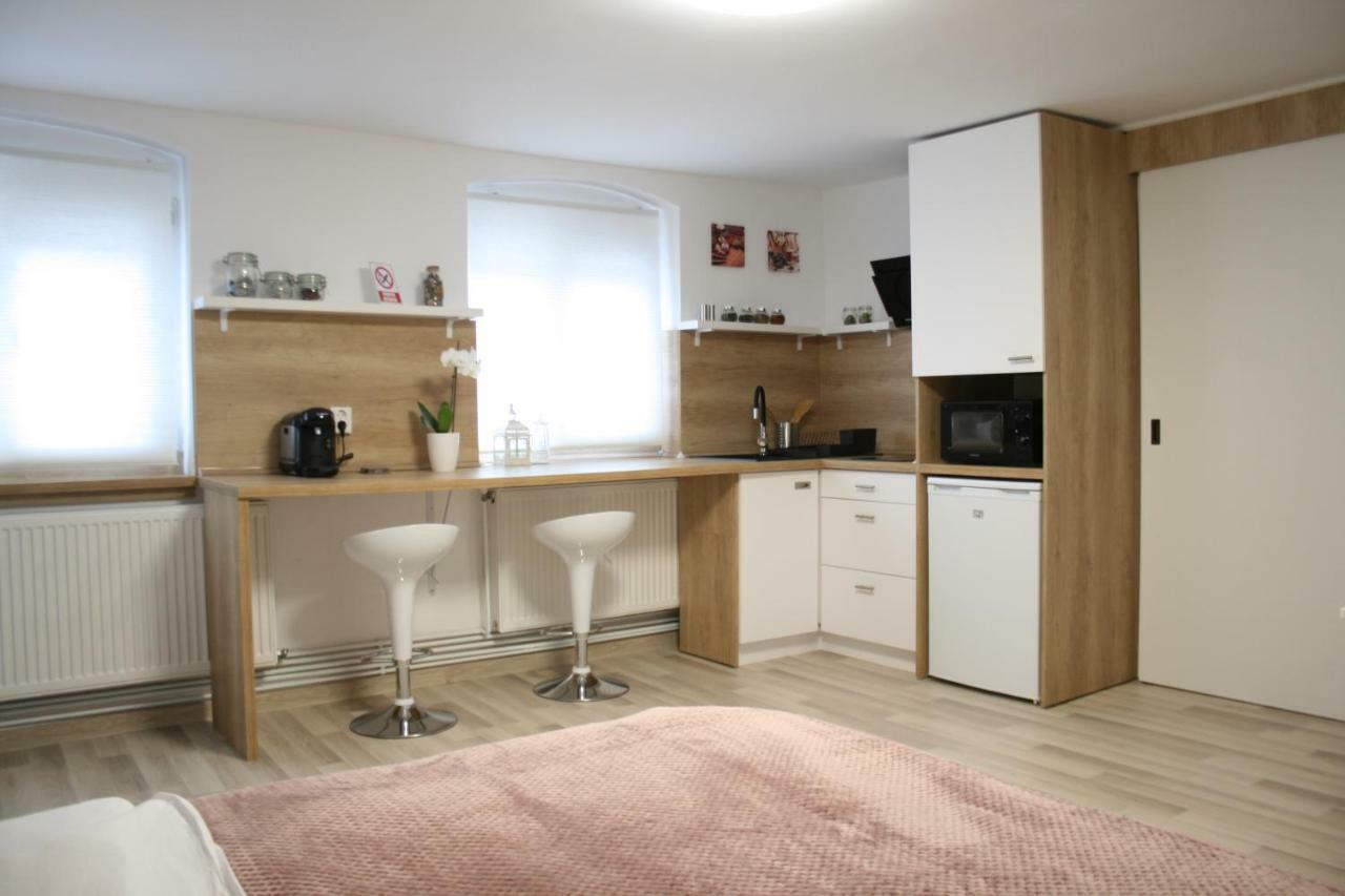 Apartment Bianca Braşov Dış mekan fotoğraf